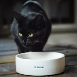 Keith Brymer Jones - Cat Bowl - miaow^ Keith Brymer Jones | Plates & Bowls