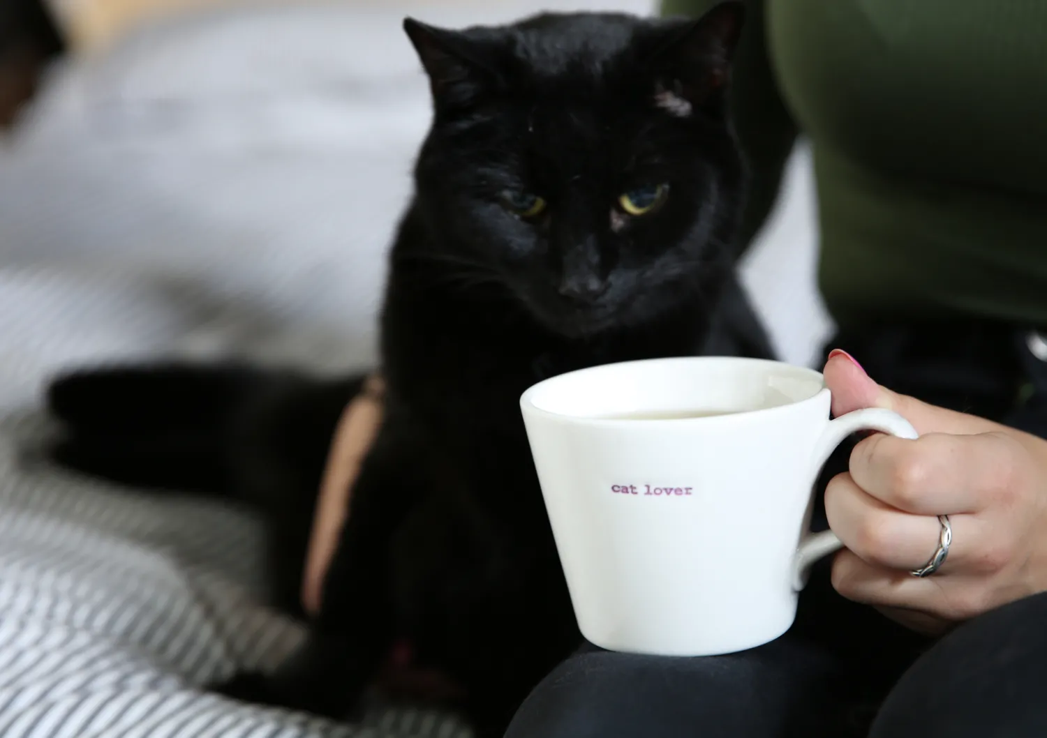 Keith Brymer Jones - Medium Mug - cat lover - 350ml^ Keith Brymer Jones | Mugs & Cups